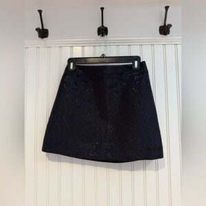 Abercrombie & Fitch Dark Blue A-Line Skirt